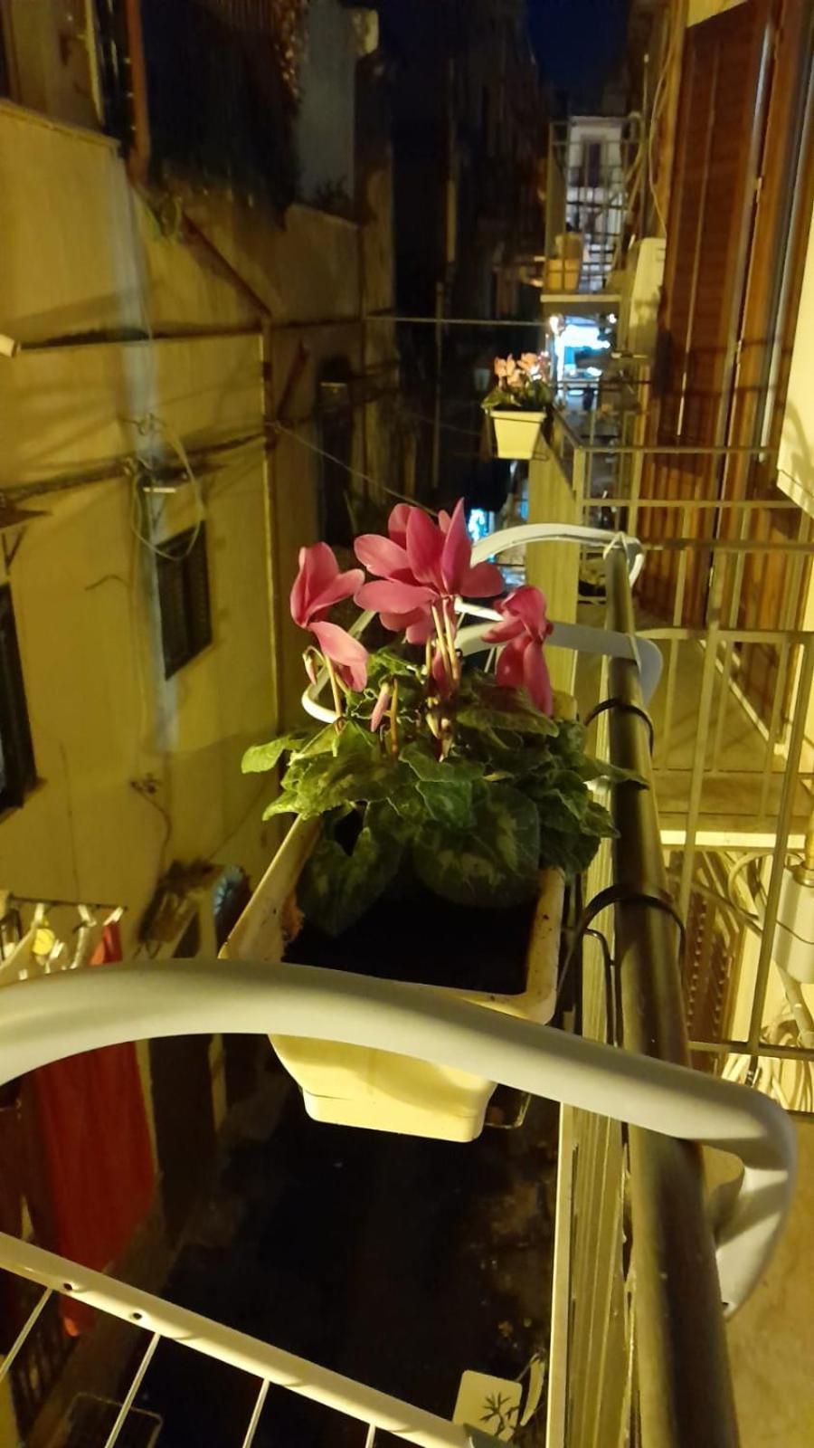 Appartamento Casa Kyla Palermo Esterno foto